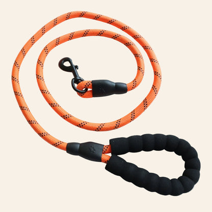 Pack Paseo Seguro 🐶 Arnés + Correa Reflectante