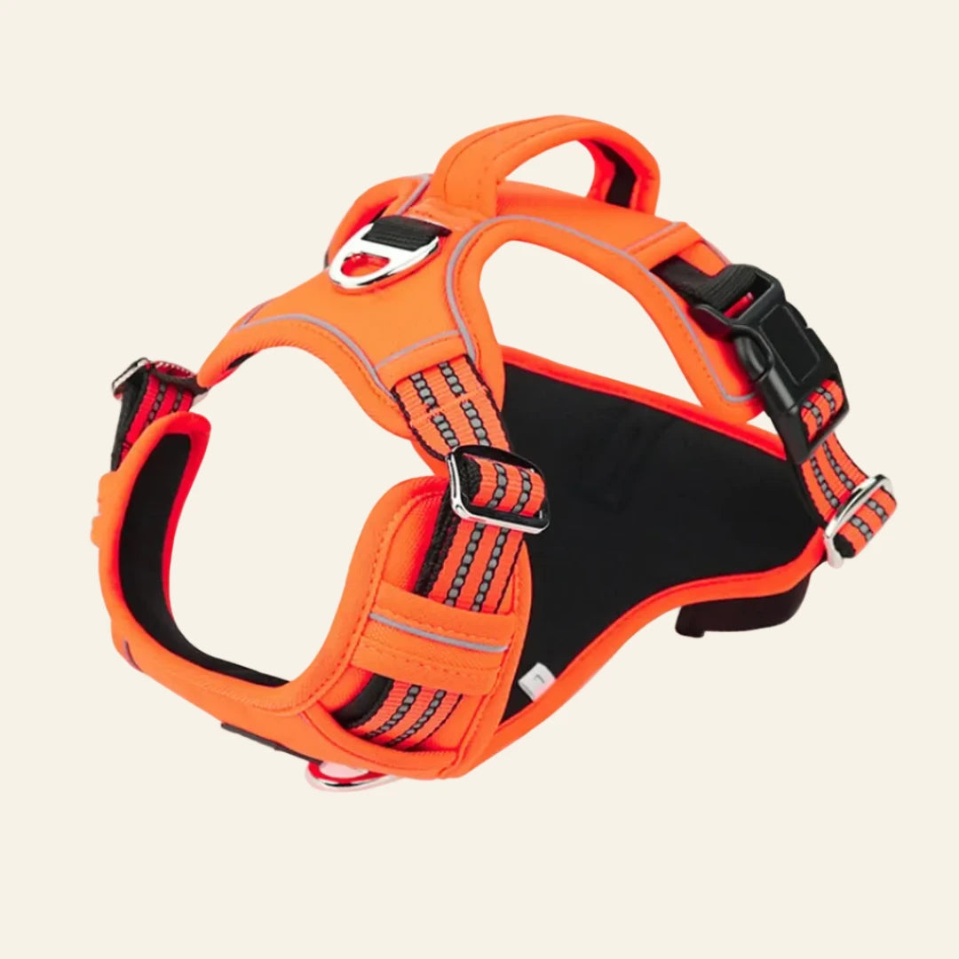 Arnés Impermeable Antitirones con Asa de Control