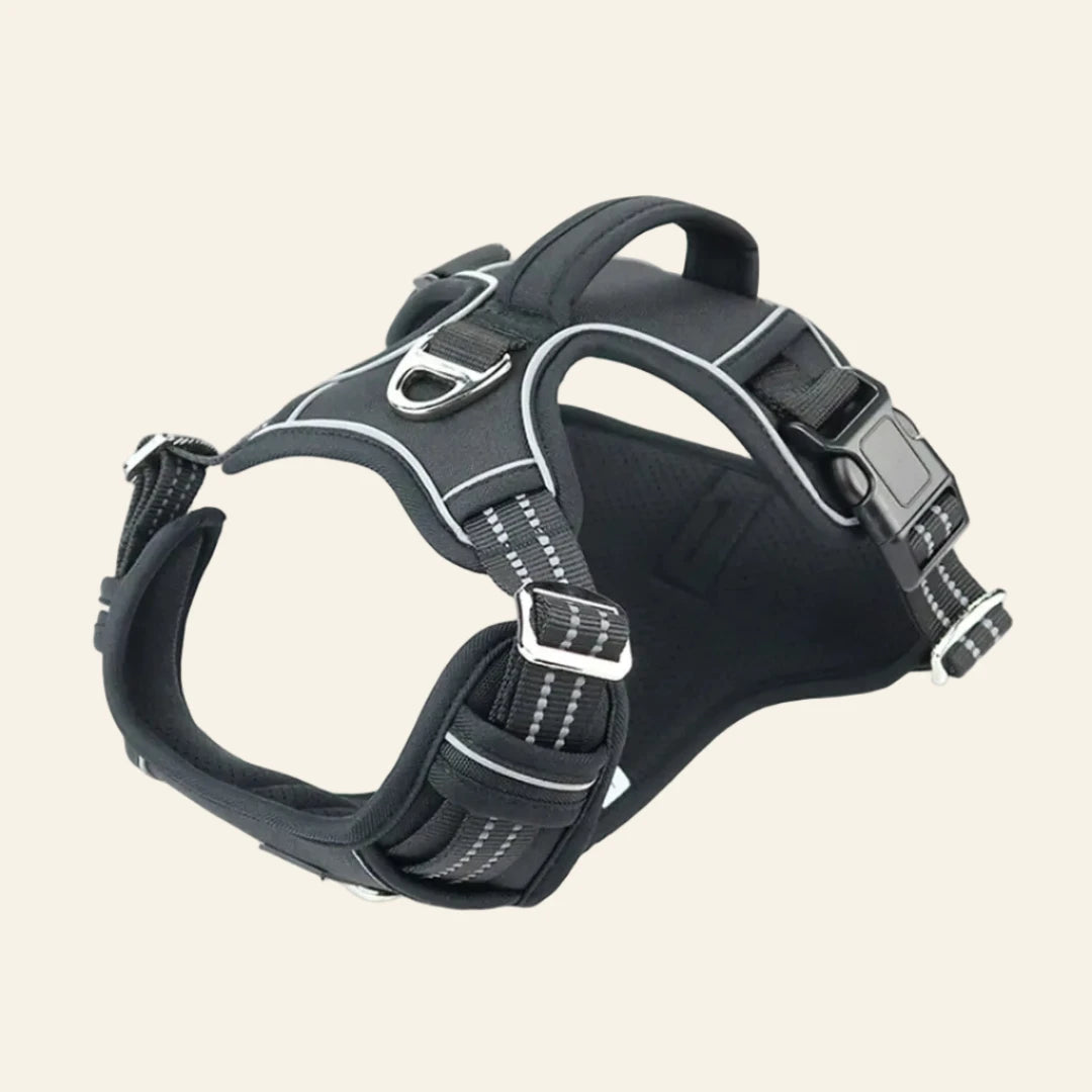 Arnés Impermeable Antitirones con Asa de Control