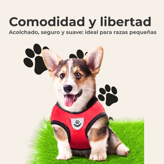 Arnés Antitirones + Correa Incluida