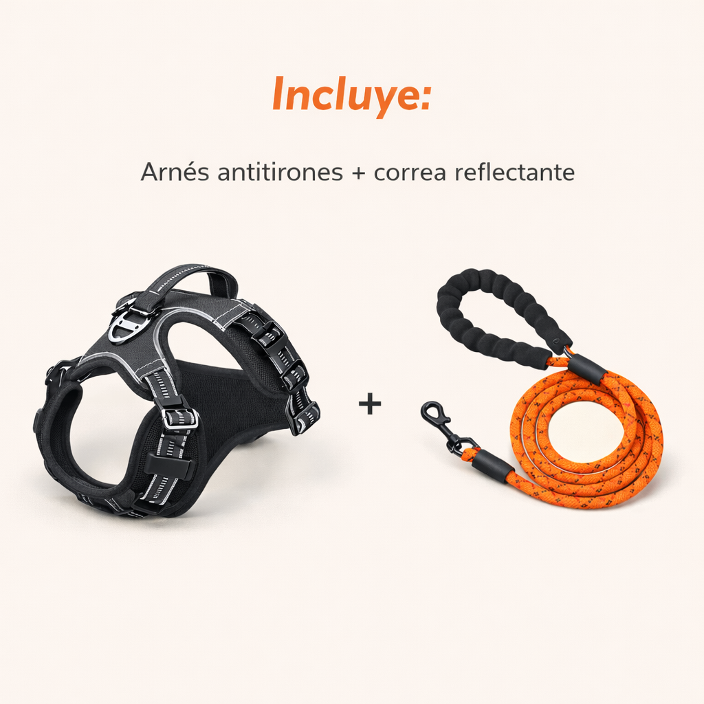 Pack Paseo Seguro 🐶 Arnés + Correa Reflectante