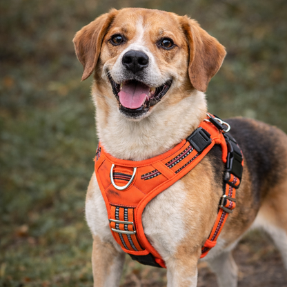 Arnés Impermeable Antitirones con Asa de Control